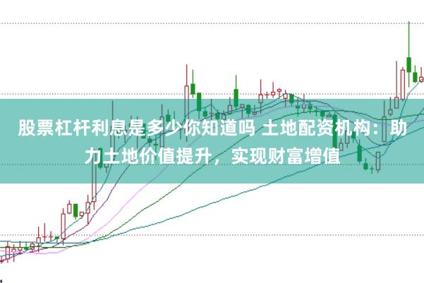股票杠杆利息是多少你知道吗 土地配资机构：助力土地价值提升，实现财富增值