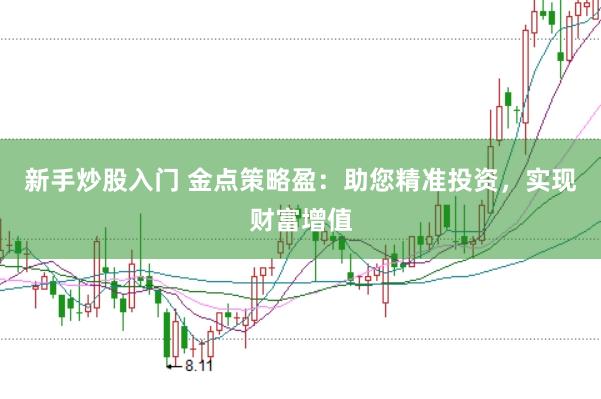 新手炒股入门 金点策略盈:助您精准投资,实现财富增值