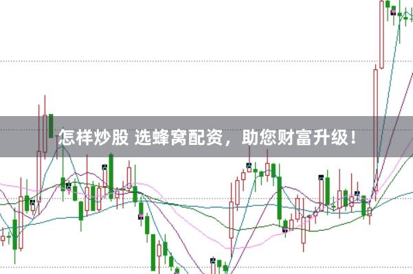 怎样炒股 选蜂窝配资，助您财富升级！